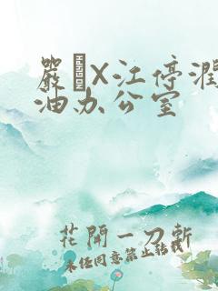 严峫X江停润滑油办公室