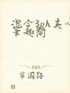 混合3ph夹心笔趣阁