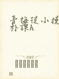 青梅从小摸到大补课h