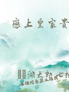 恋上皇家贵公主