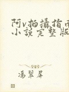 阿v拍摄指南说小说完整版