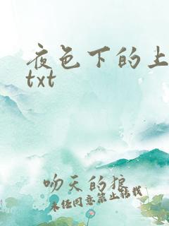 夜色下的上海滩txt