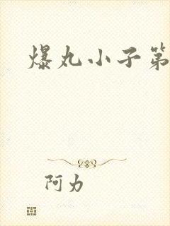爆丸小子第1部