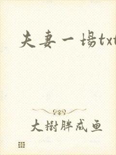 夫妻一场txt
