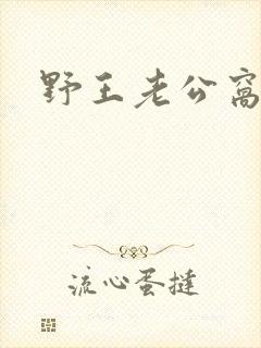 野王老公窝