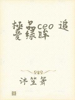 极品ceo 追爱绿眸