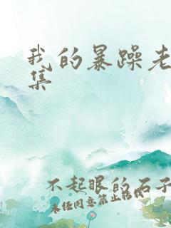 我的暴躁老妈全集