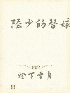 陆少的替嫁宠妻