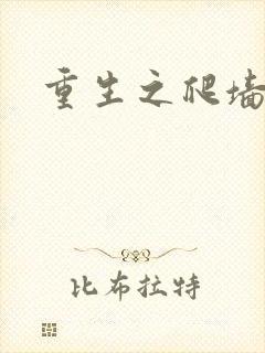 重生之爬墙