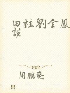 田柱刘金凤的小说