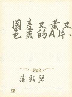 国产又黄又大又色爽的A片小说