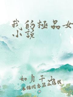 我的极品女老师小说