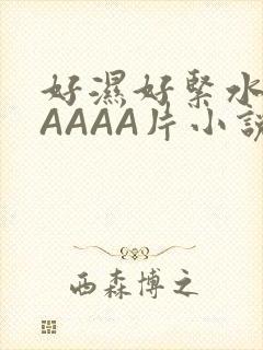 好湿好紧水多AAAAA片小说