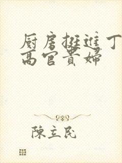 厨房挺进丁字裤高官贵妇