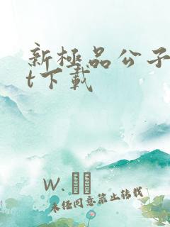 新极品公子txt下载