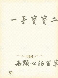 一手宝宝二手妻