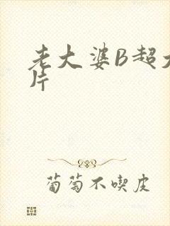 老大婆B超大图片