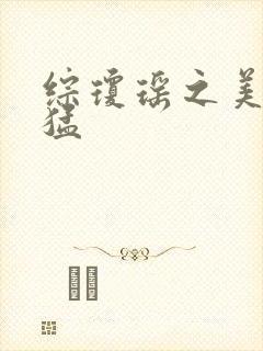 综琼瑶之美人凶猛