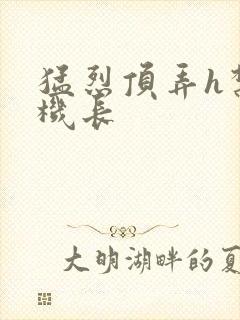 猛烈顶弄h禁欲机长