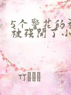 5个警花的初苞被强开了小说