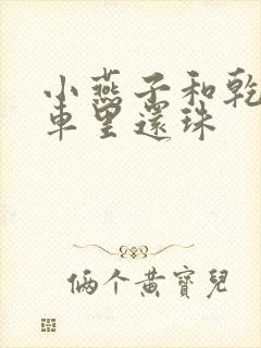 小燕子和乾隆在车里还珠