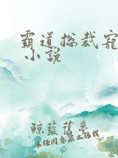 霸道总裁宠上天 小说