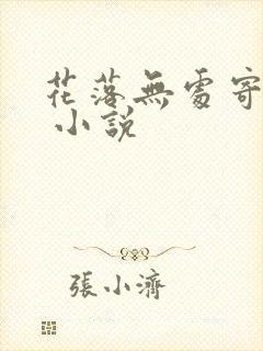 花落无处寄相思 小说