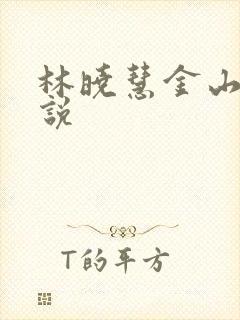林晓慧金山的小说