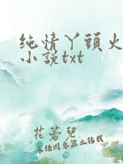 纯情丫头火辣辣小说txt