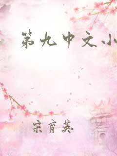 第九中文小说网
