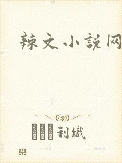 辣文小说网