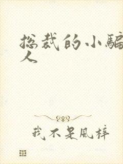 总裁的小骗子情人