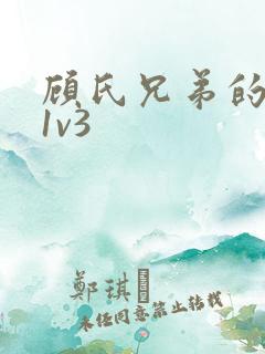 顾氏兄弟的南宁1v3