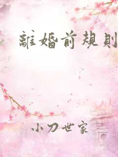 离婚前规则小说