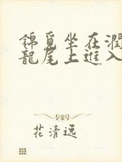 锦觅坐在润玉的龙尾上进入