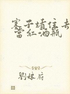 塞子堵住去上学 当红酒瓶