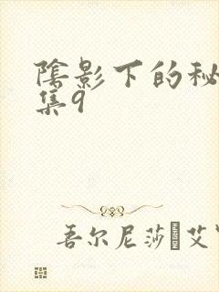 阴影下的秘密全集9