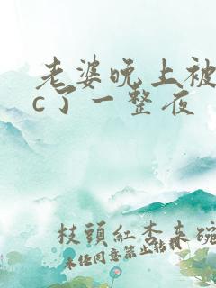 老婆晚上被躁狂c了一整夜