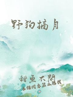 野狗摘月