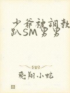 少爷被调教室跪趴SM男男