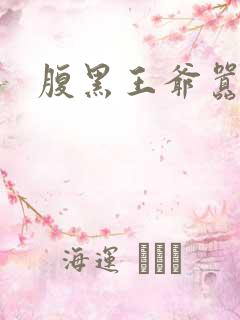 腹黑王爷嚣张妻
