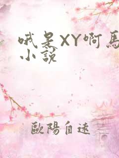 哦是XY啊马仔小说