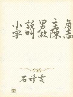 小说男主角的名字叫做陈志远