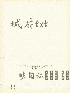城府txt