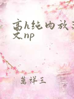 高h纯肉放荡h文np
