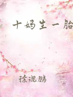 十妈生一胎
