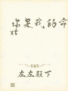 你是我的命运txt