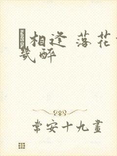 囍相逢 落花能几醉