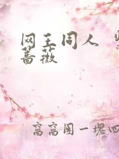 网王同人  紫蔷薇