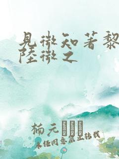 见微知著黎见卿陆微之